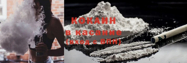 молекула духа Бородино
