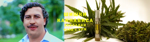 молекула духа Бородино