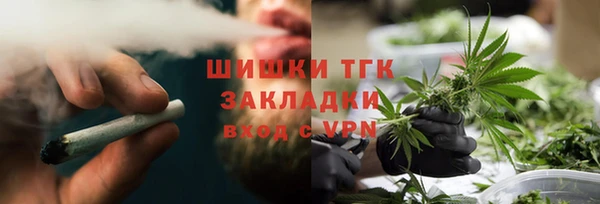 молекула духа Бородино