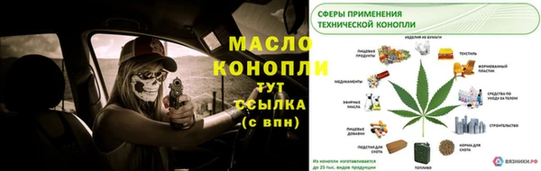 молекула духа Бородино
