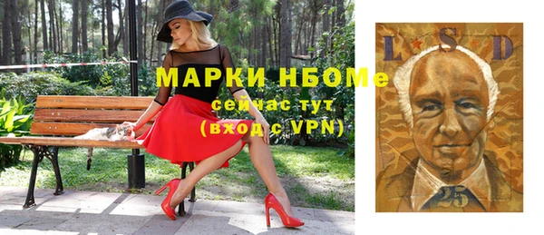 молекула духа Бородино