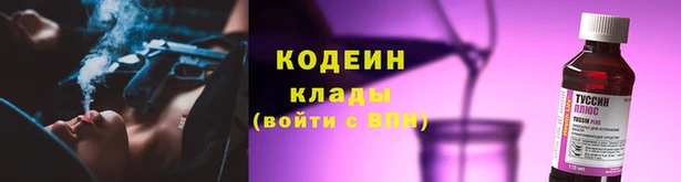 молекула духа Бородино