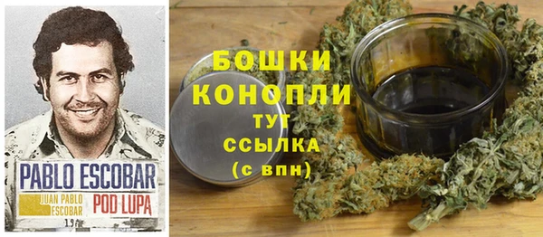 молекула духа Бородино