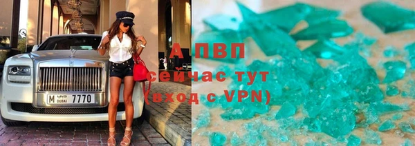 молекула духа Бородино