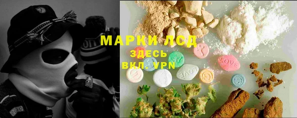 молекула духа Бородино