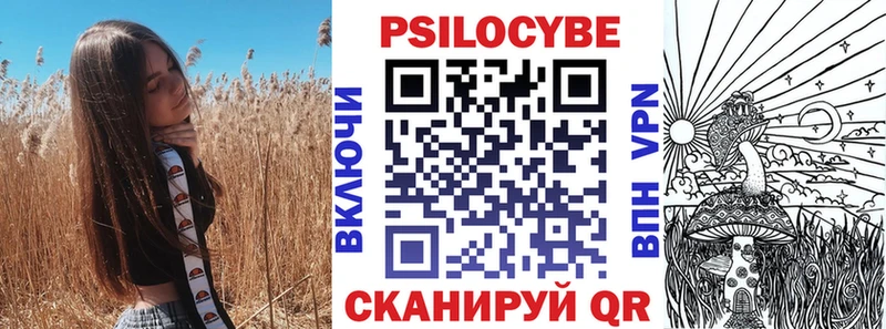 Псилоцибиновые грибы Psilocybe  Купить где  Ноябрьск 