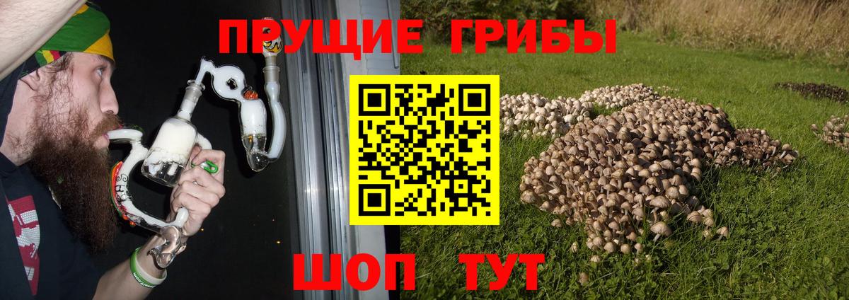 Галлюциногенные грибы GOLDEN TEACHER  Ноябрьск 