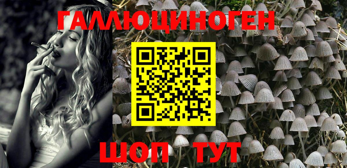 Псилоцибиновые грибы мухоморы Ноябрьск