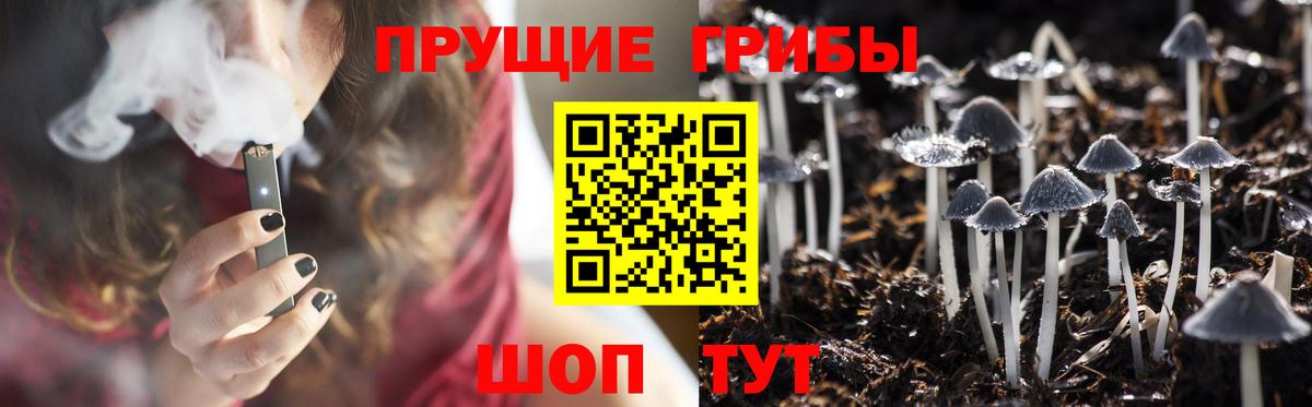 купить наркотик  Вход с VPN  Ноябрьск  Псилоцибиновые грибы Psilocybine cubensis 